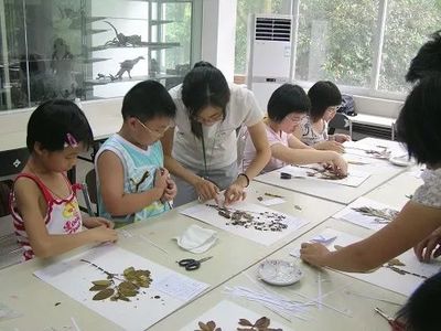植物園，你真的了解嗎？——一場綠意背后的深度探索