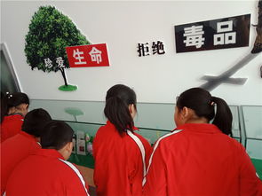 擰緊安全弦，筑牢防護網——煙臺龍口學校開展新時代文明實踐活動