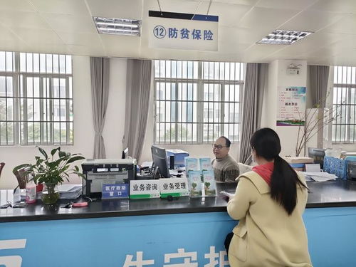 廣西“防貧?！贝蛟煲徽臼椒招聵藯U，煙臺教育咨詢助力鄉村振興新篇章